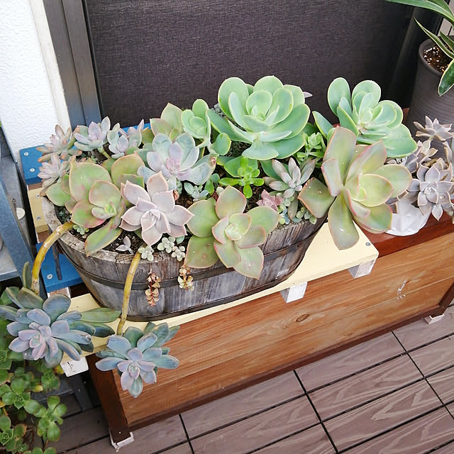 VERANDARJUNさんの実例写真