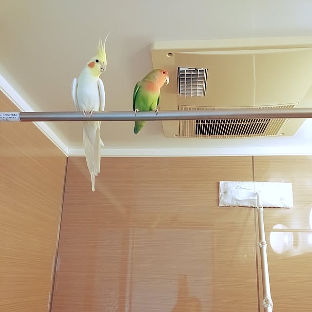 toratanさんの実例写真