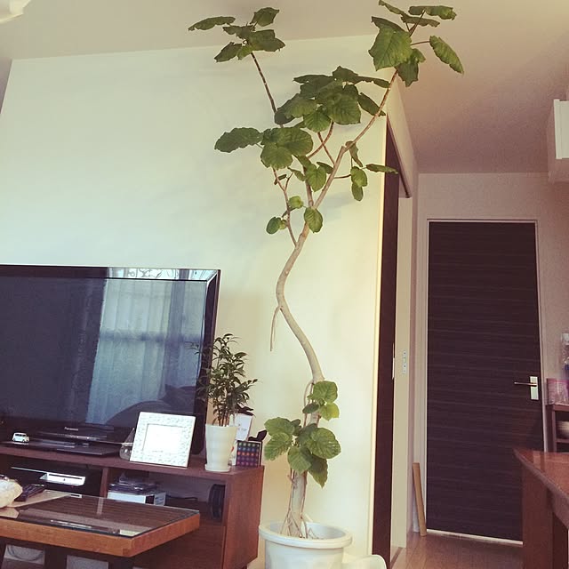 ctscandyさんの実例写真