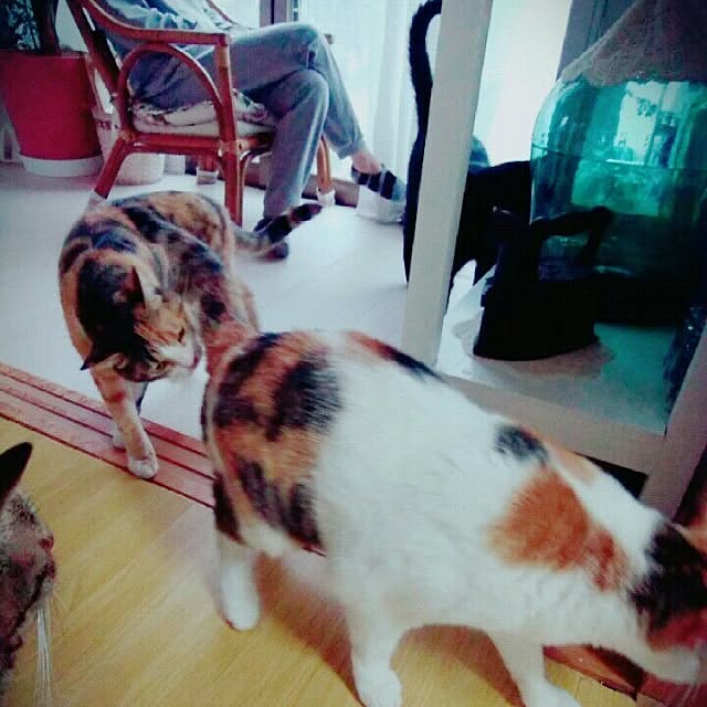 taleo07さんの実例写真