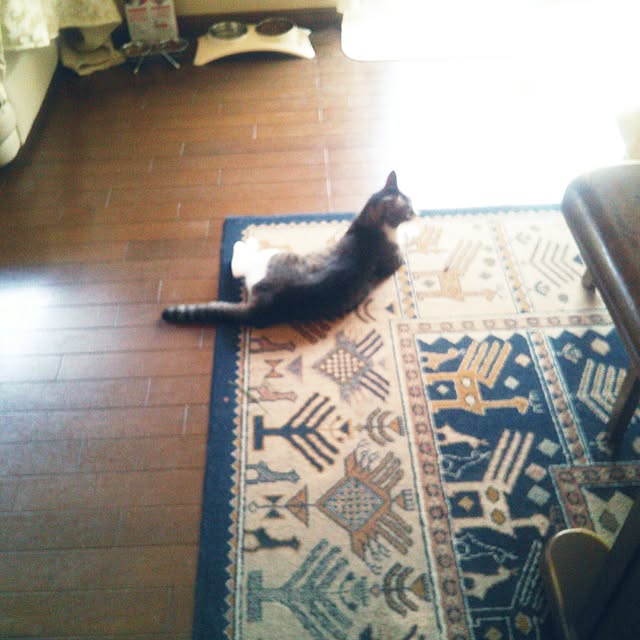 Tomopさんの実例写真