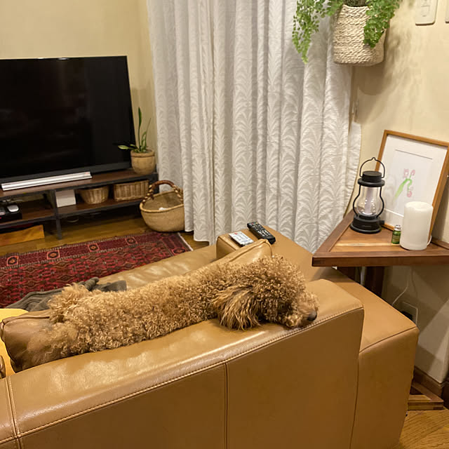 buhiさんの実例写真