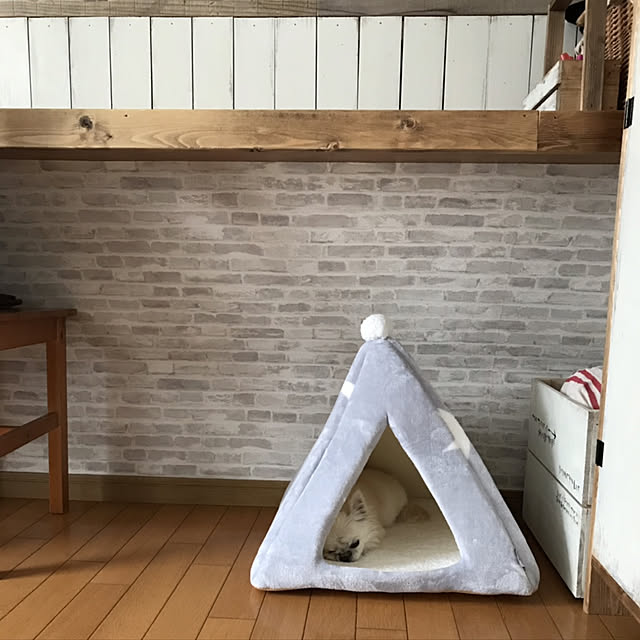 jujuさんの実例写真