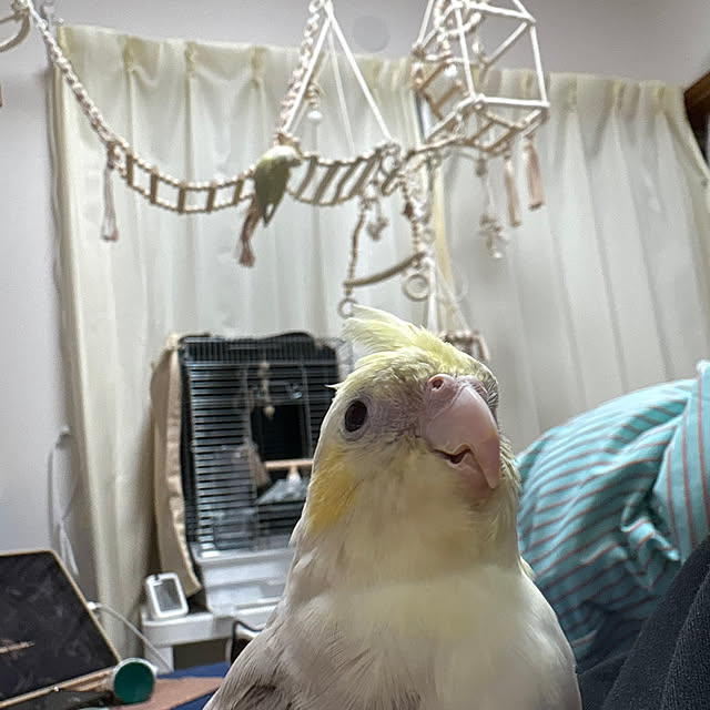 Yuraさんの部屋