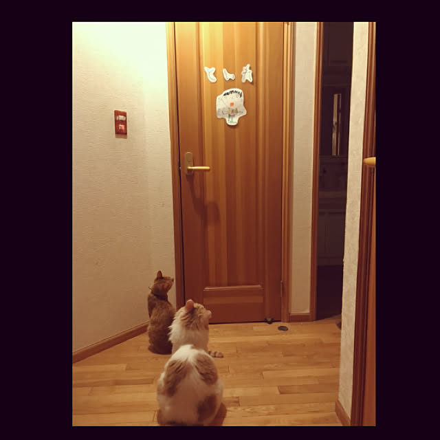 Ri-pochaさんの実例写真