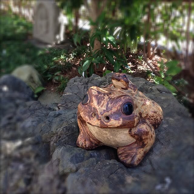 junjunさんの実例写真