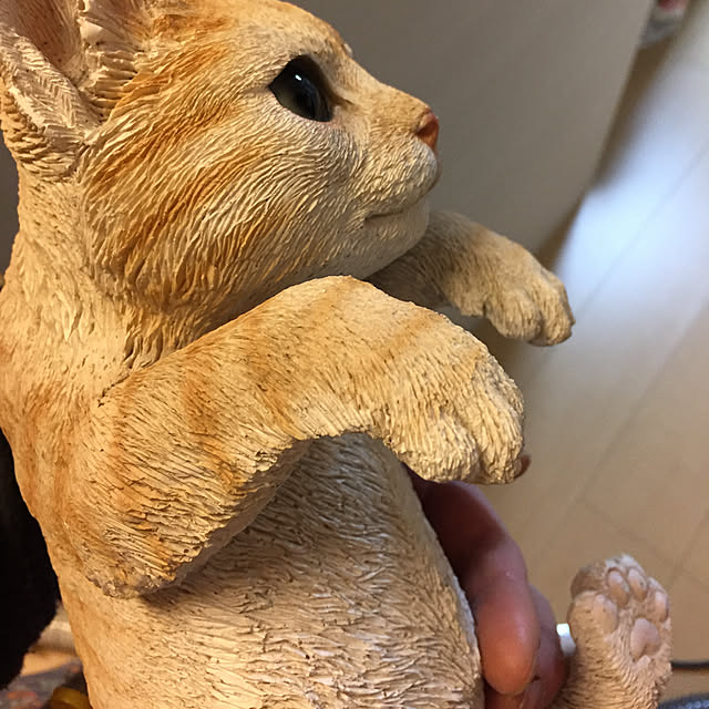 emiさんの実例写真