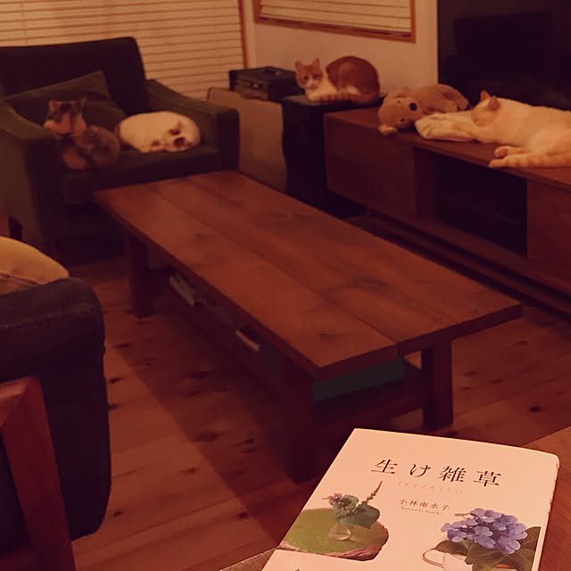 sakurasakuさんの実例写真