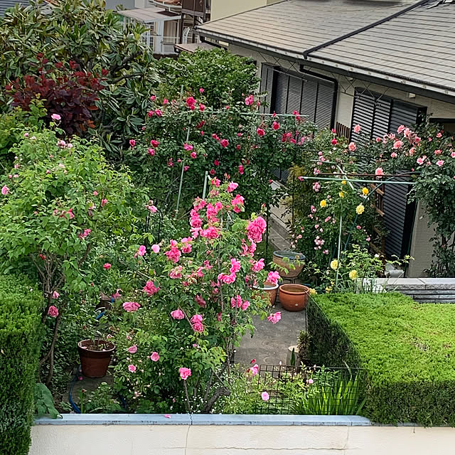 moyuhiさんの部屋