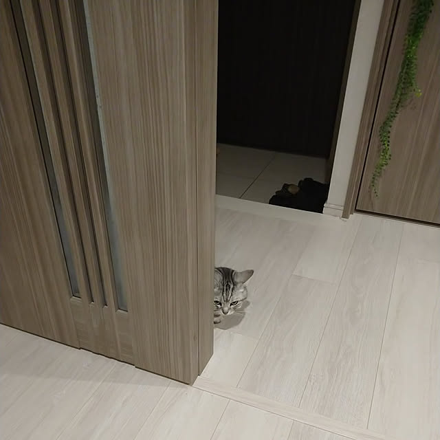filament0109さんの実例写真