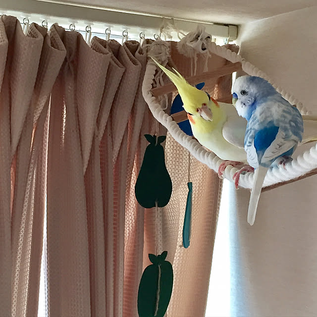 toratanさんの実例写真