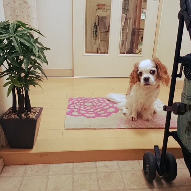 yukaさんの実例写真