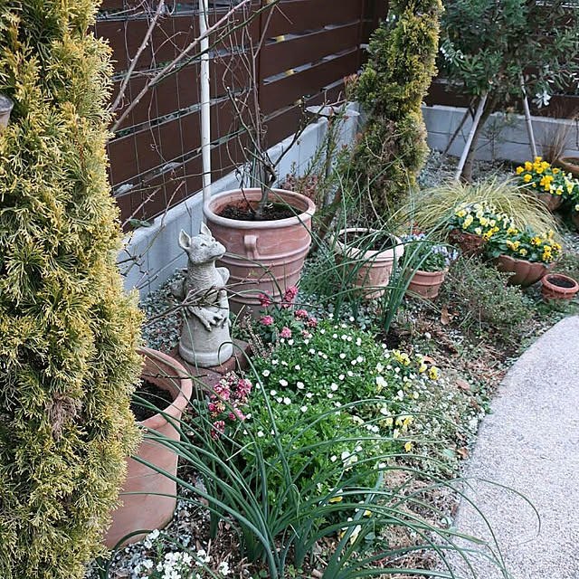figaroさんの実例写真