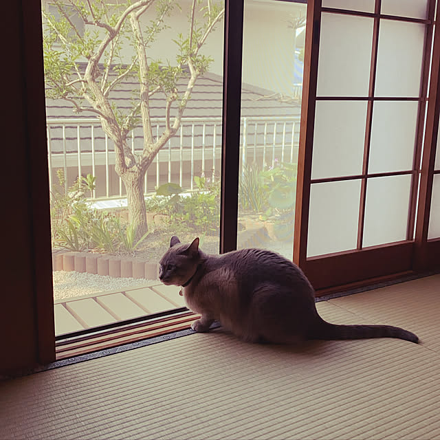 zumayanさんの実例写真