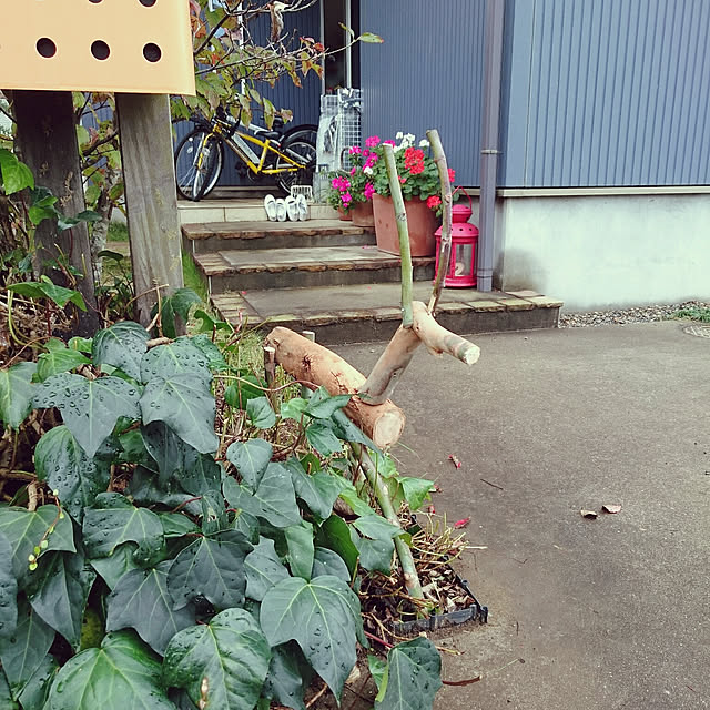 urchinさんの実例写真