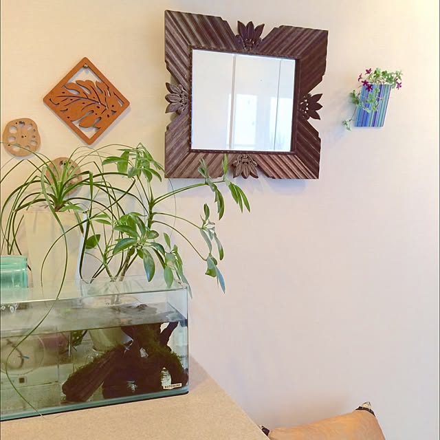 cloudia_gardenさんの実例写真