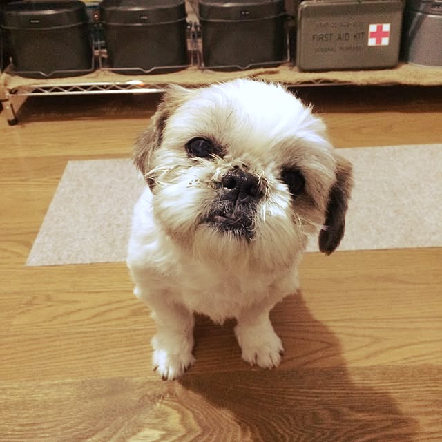 lenkaさんの実例写真