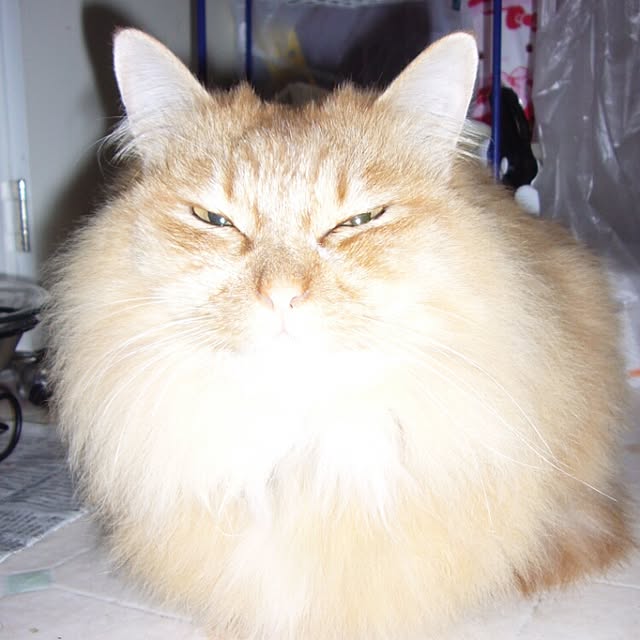 J.BOYさんの実例写真