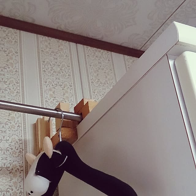 kikuさんの実例写真
