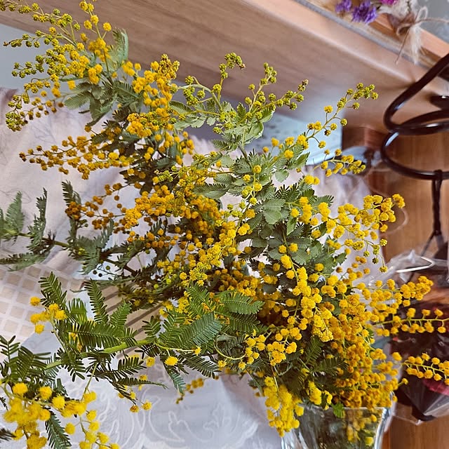 mocomocoさんの部屋