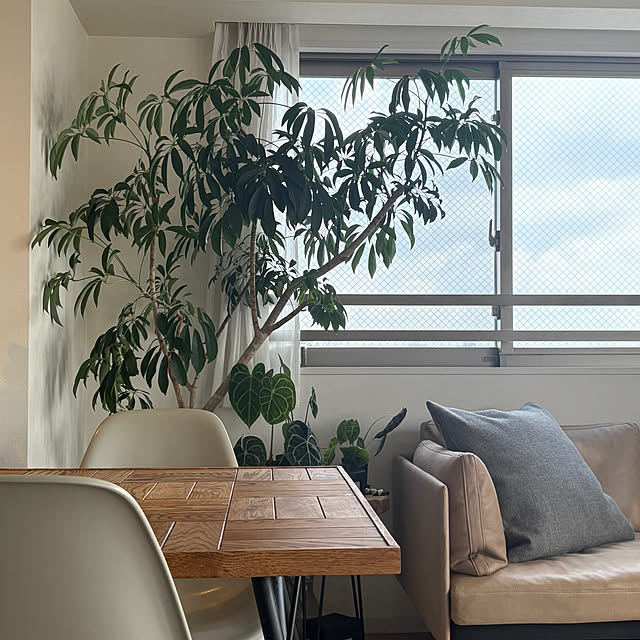 mumuさんの実例写真