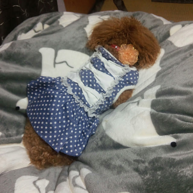 Riccaさんの実例写真