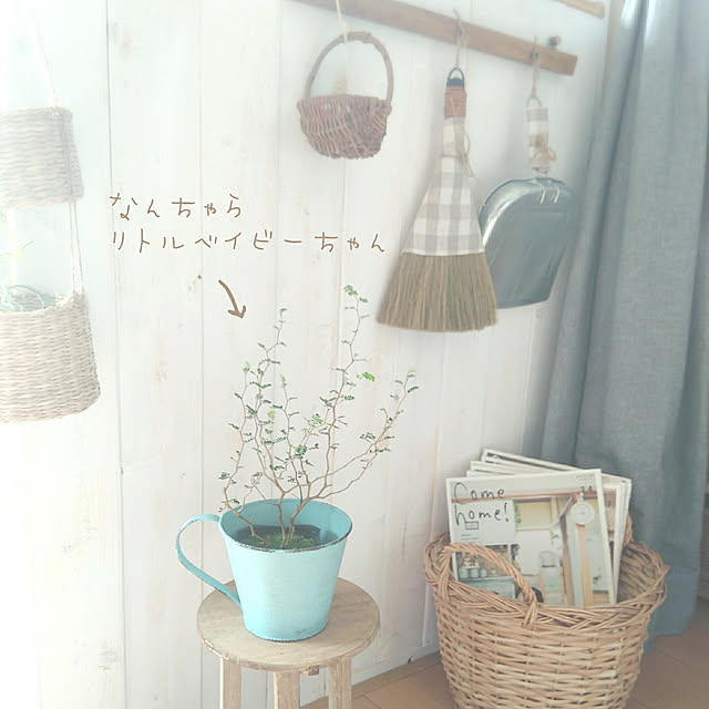 sunnyさんの実例写真