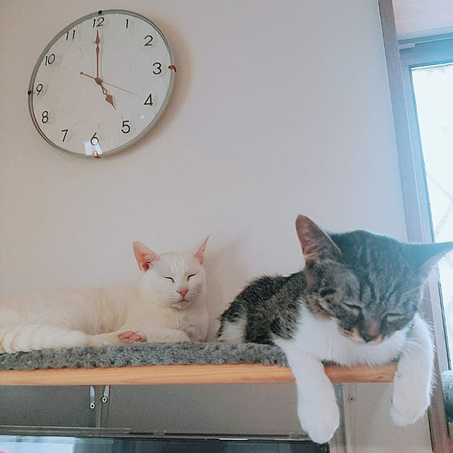 kirakirahikaruさんの実例写真