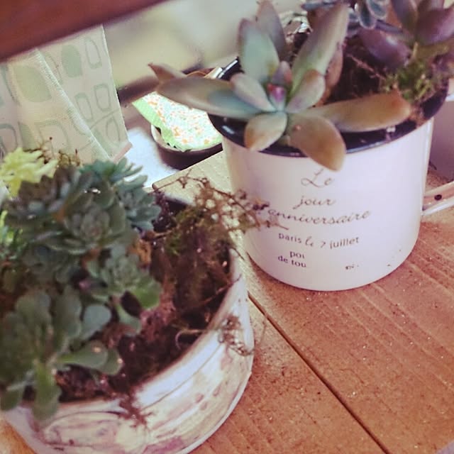 ayu_unsourireさんの実例写真