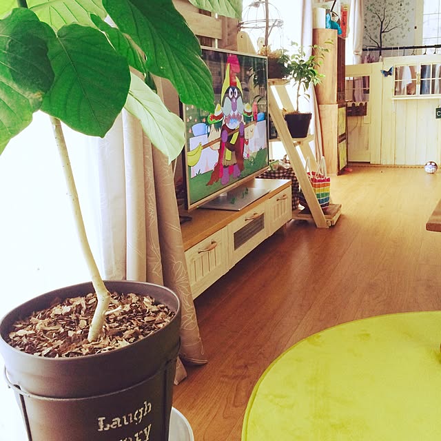 bambi_eyeさんの実例写真