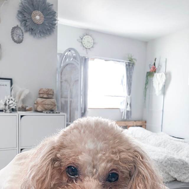 Yukoさんの実例写真