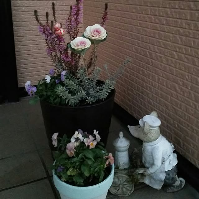 実例写真