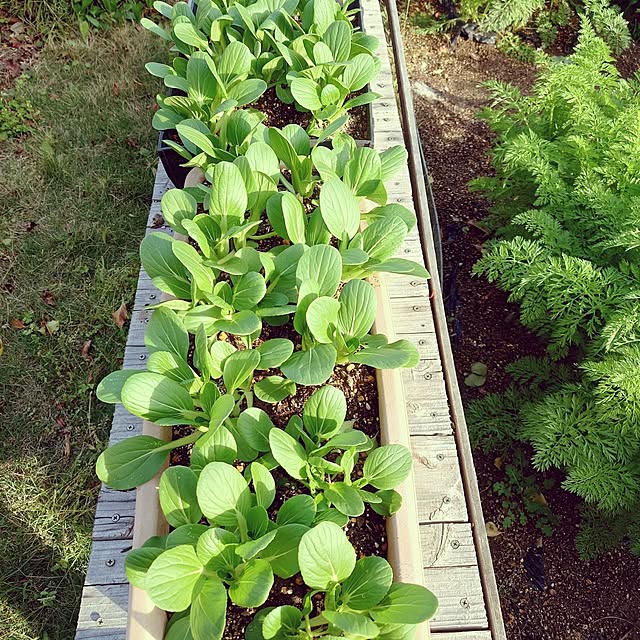 KOMARIN358さんの実例写真