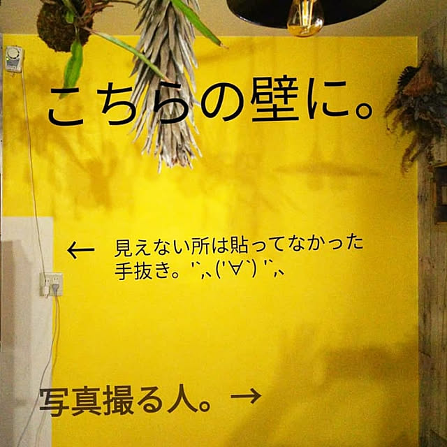 ugさんの実例写真