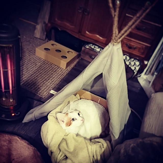 Kazukiさんの実例写真