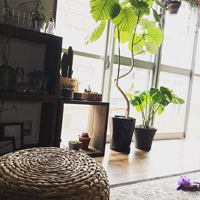 mitamaさんの実例写真