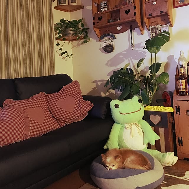 yukoさんの実例写真