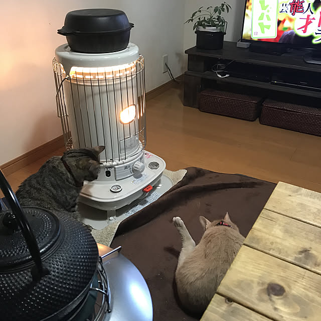 mikan161さんの実例写真