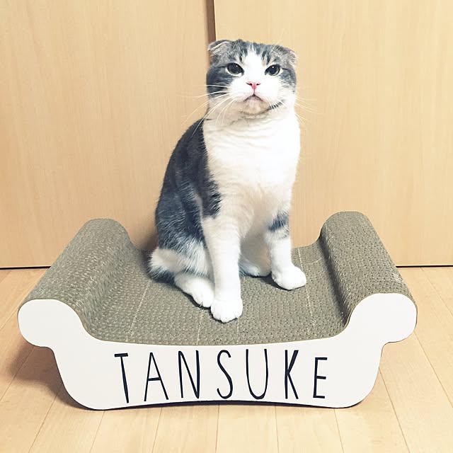 tansukeさんの実例写真