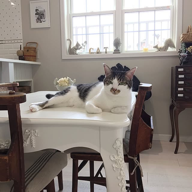 yuchiさんの実例写真