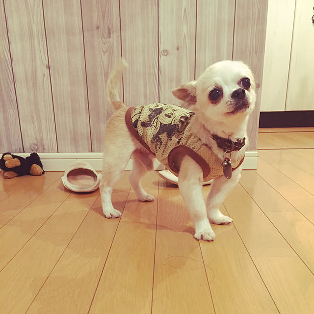 Riiriさんの実例写真