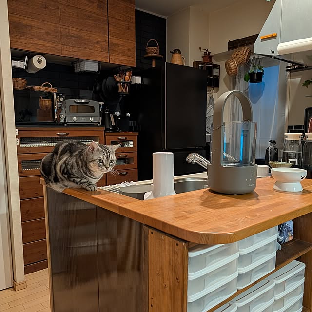 lovepeaceさんの実例写真