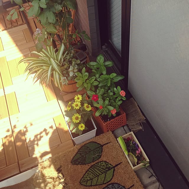 sasaさんの実例写真