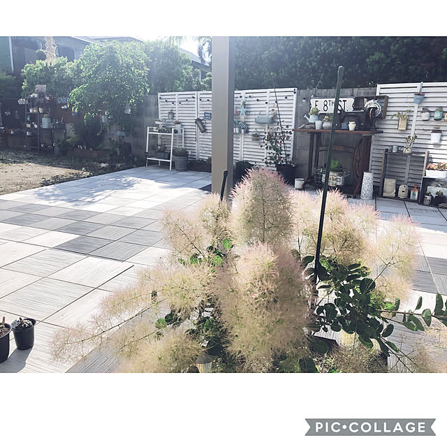 craneさんの実例写真