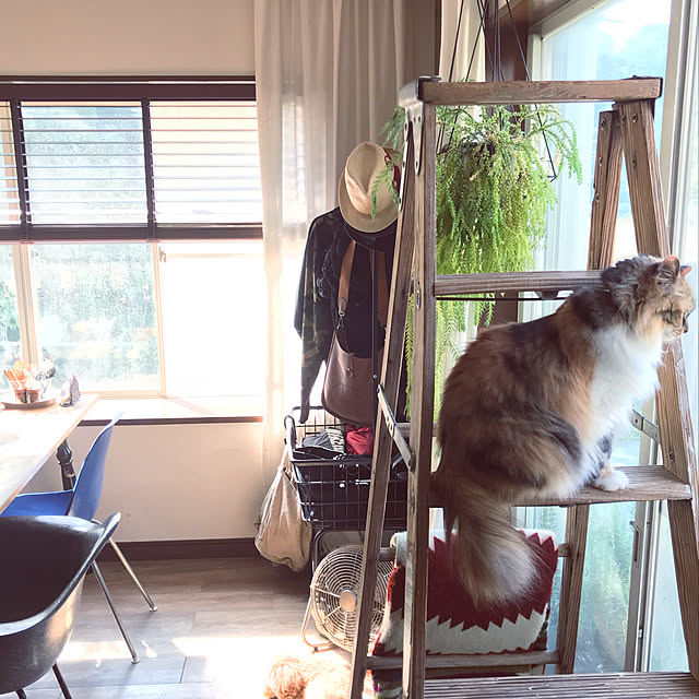 Megumiさんの実例写真
