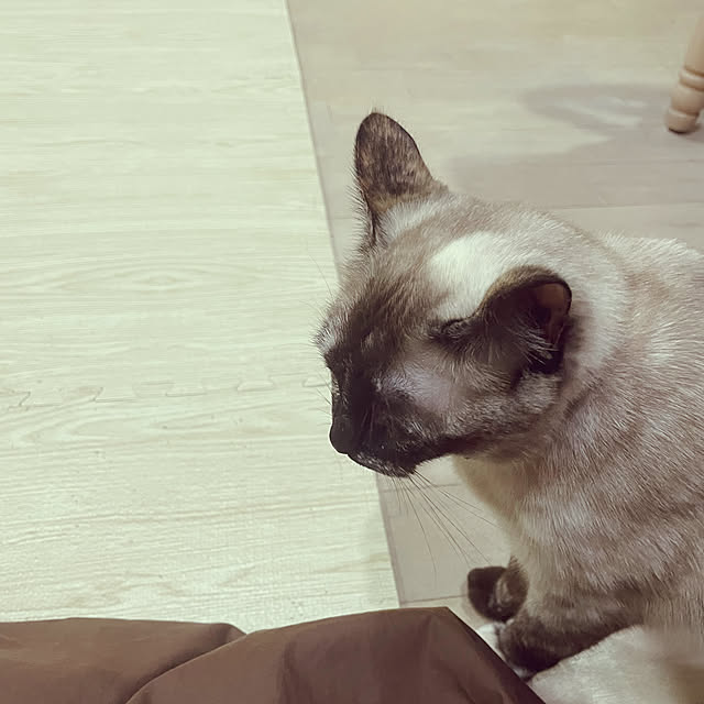 yu-iさんの部屋