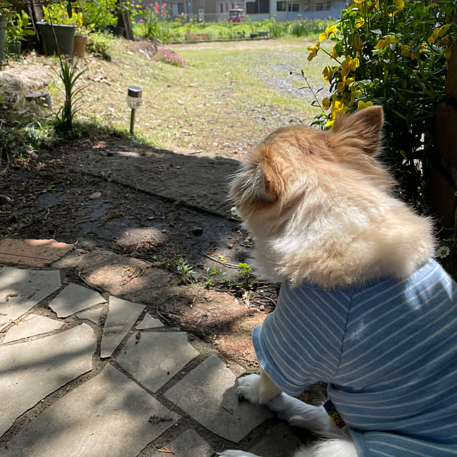 natsumiさんの部屋