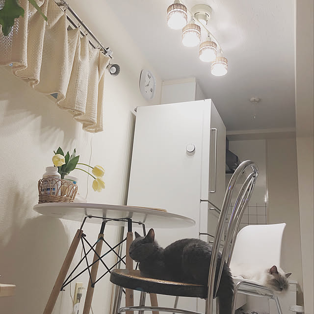 モニター応募投稿/キッチンのインテリア実例 - 2019-07-04 11:50:53