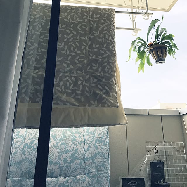 powakyonさんの実例写真