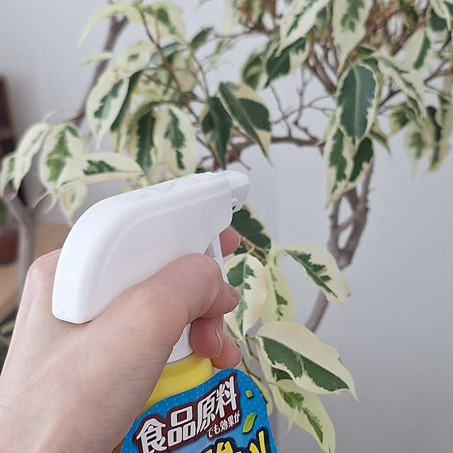 hanapanさんの部屋